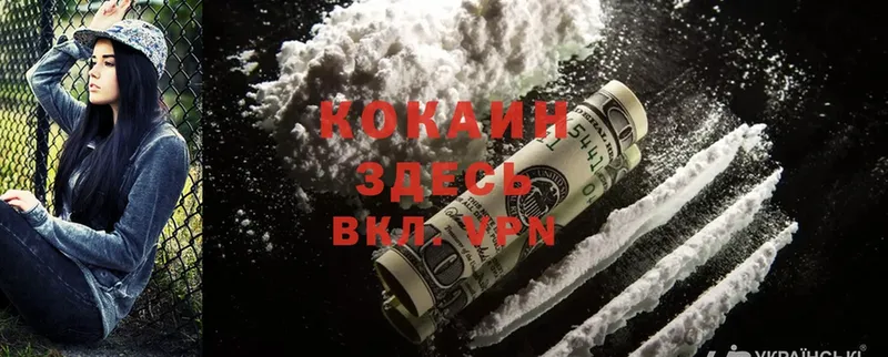 Cocaine Колумбийский  цены   Семёнов 