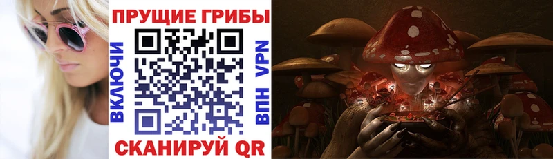 Псилоцибиновые грибы Cubensis  как найти закладки  Семёнов 